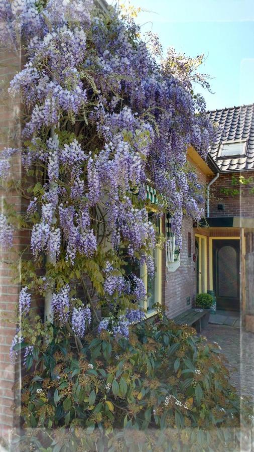 B&B De Vlinder Hardenberg Bagian luar foto