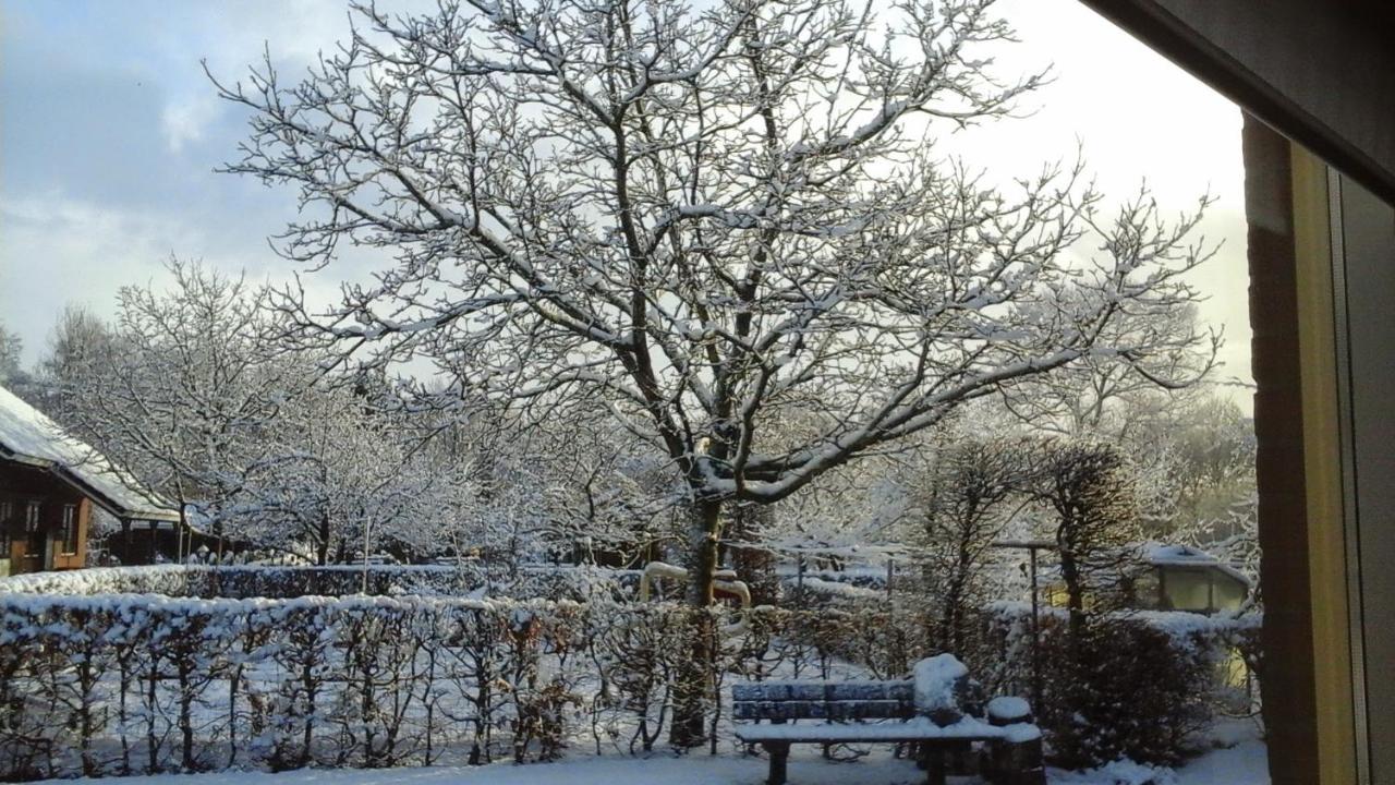 B&B De Vlinder Hardenberg Bagian luar foto
