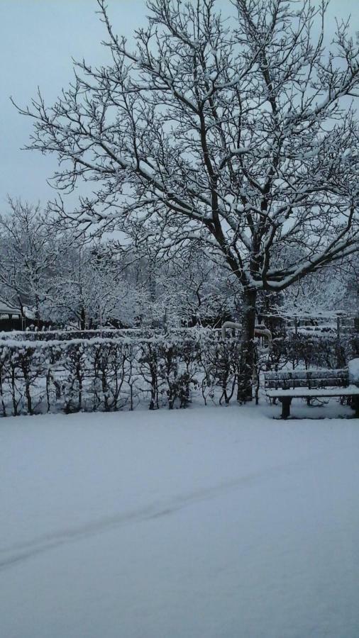 B&B De Vlinder Hardenberg Bagian luar foto