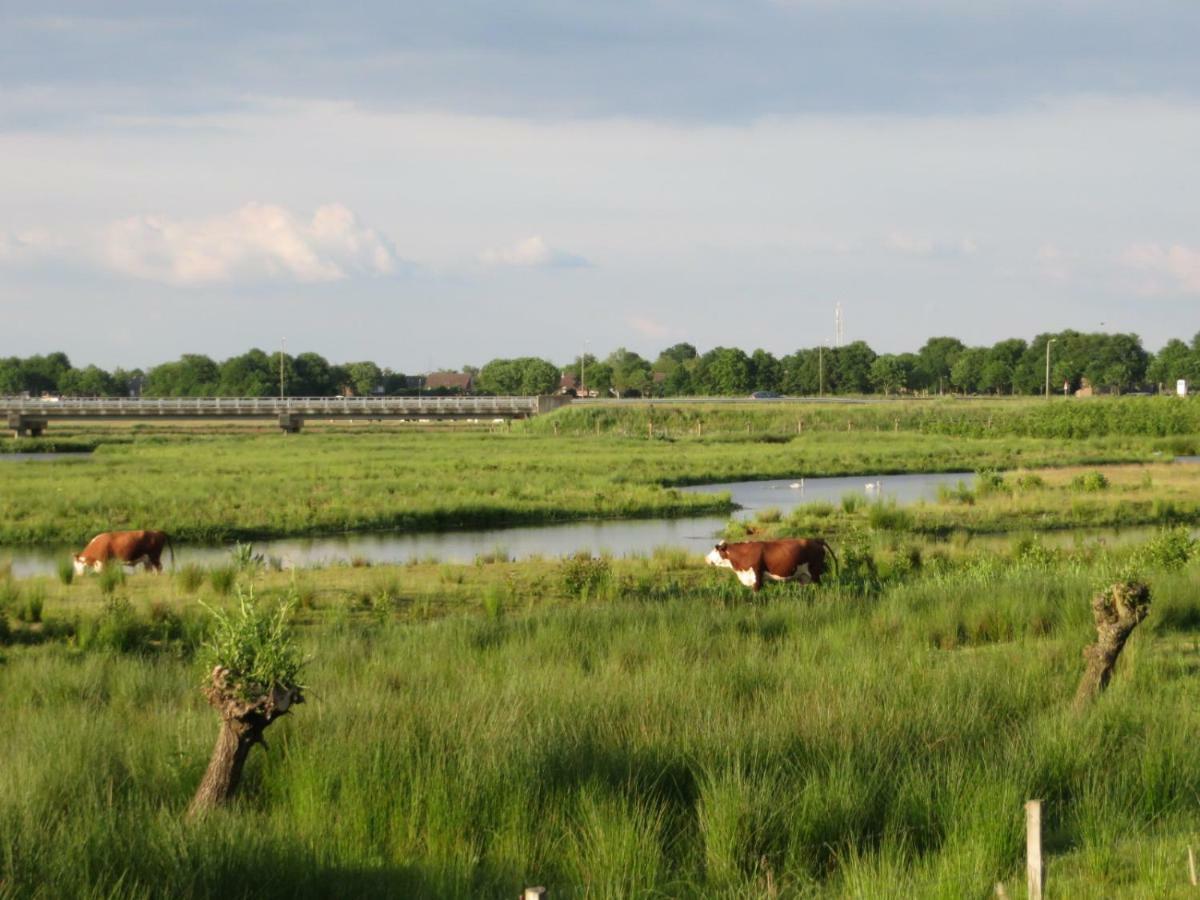 B&B De Vlinder Hardenberg Bagian luar foto